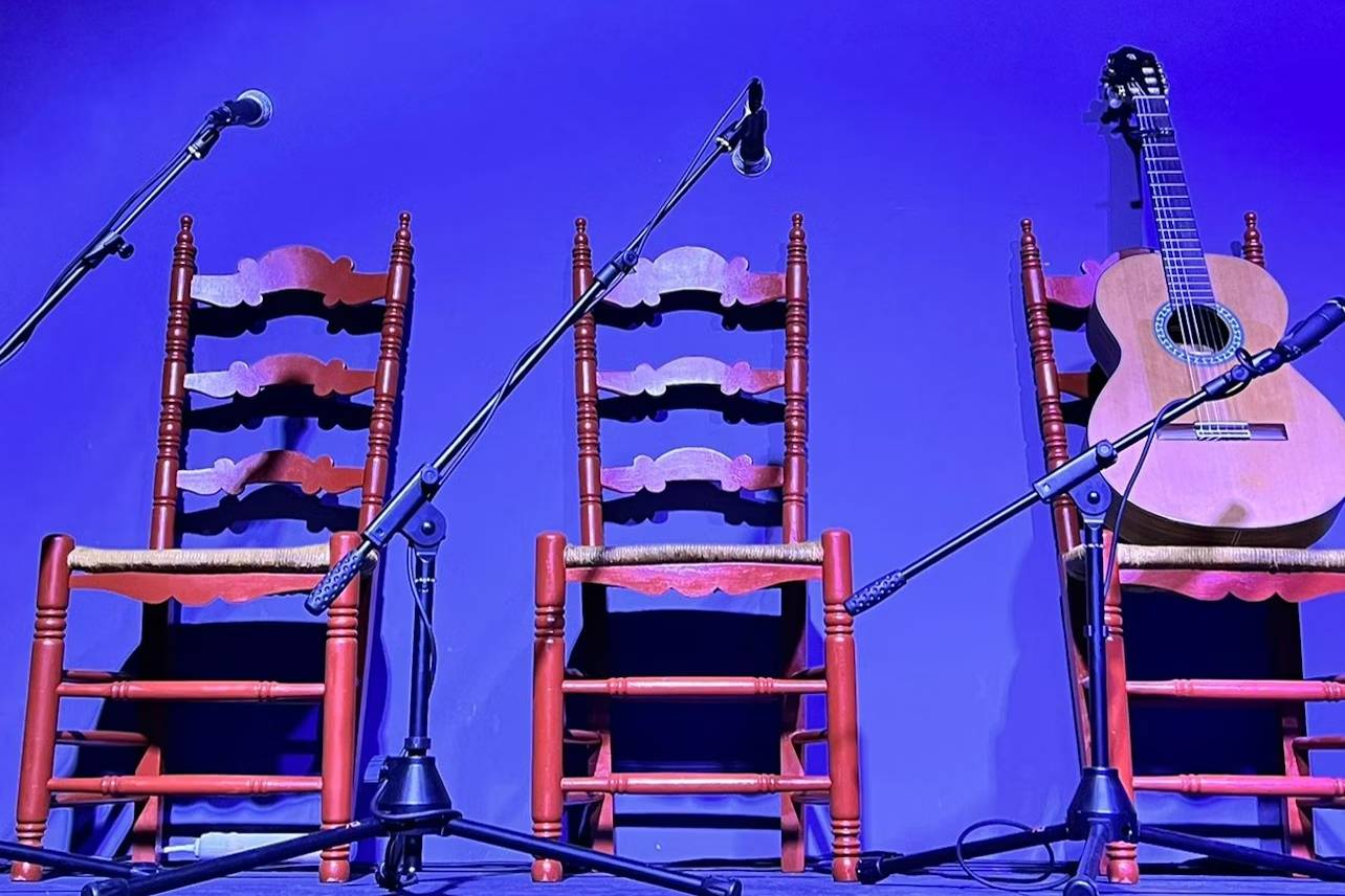 巴倫西亞帕洛桑託弗拉明戈舞表演 (Palosanto Tablao Flamenco Show in Valencia)