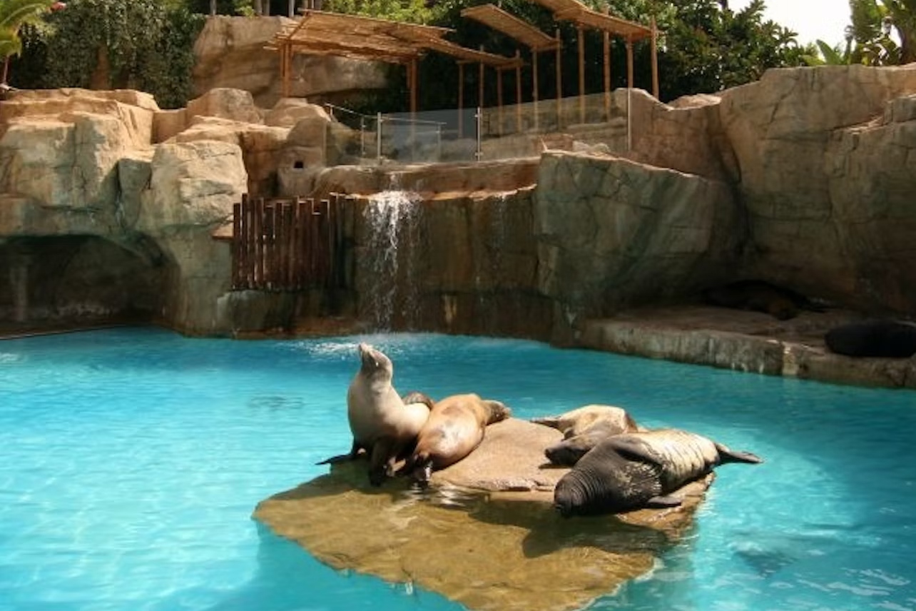 Get close to nature with exotic animals at Mundomar for an adventure for all ages