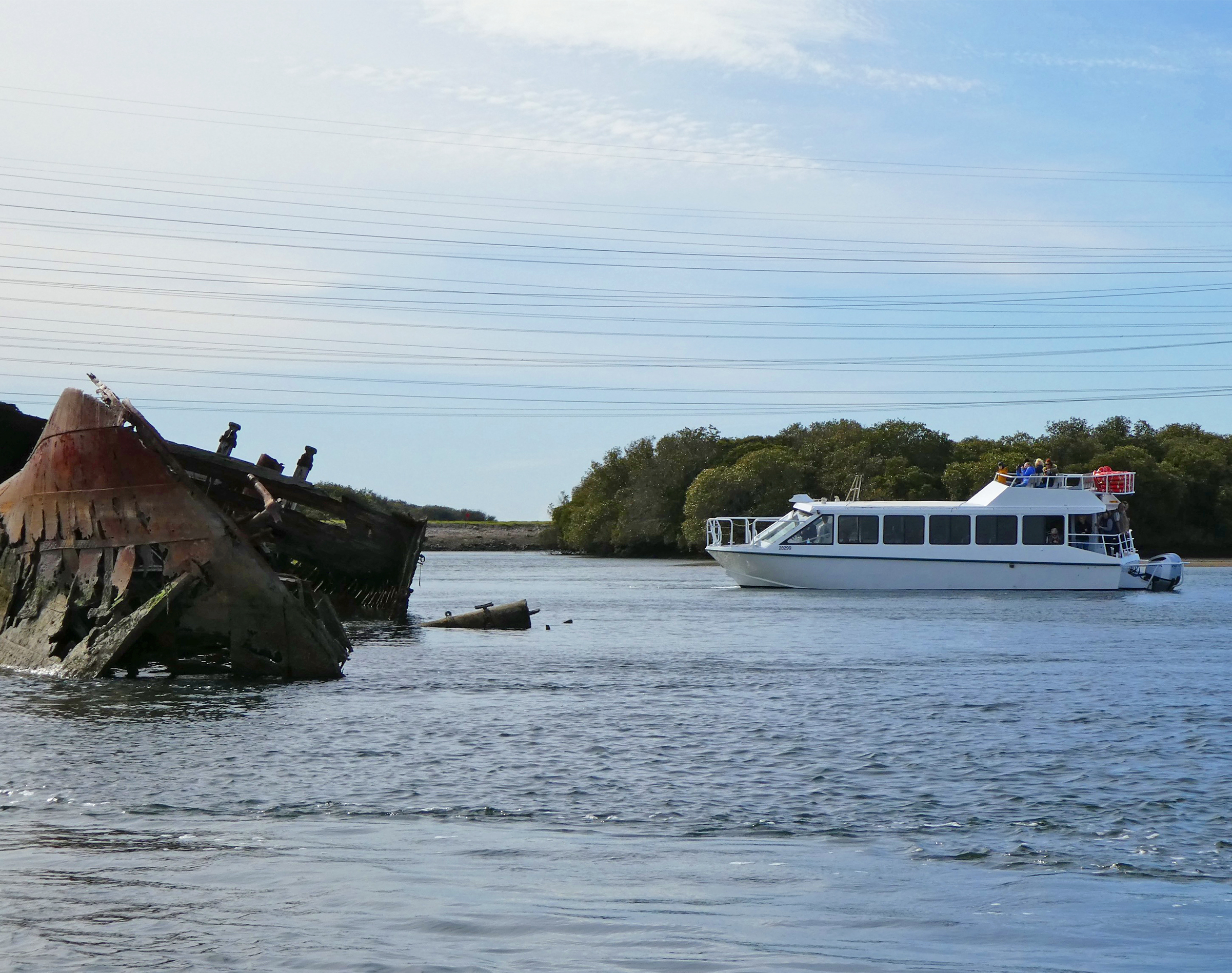 Port River Dolphin & Ships Graveyard Cruise from Port Adelaide