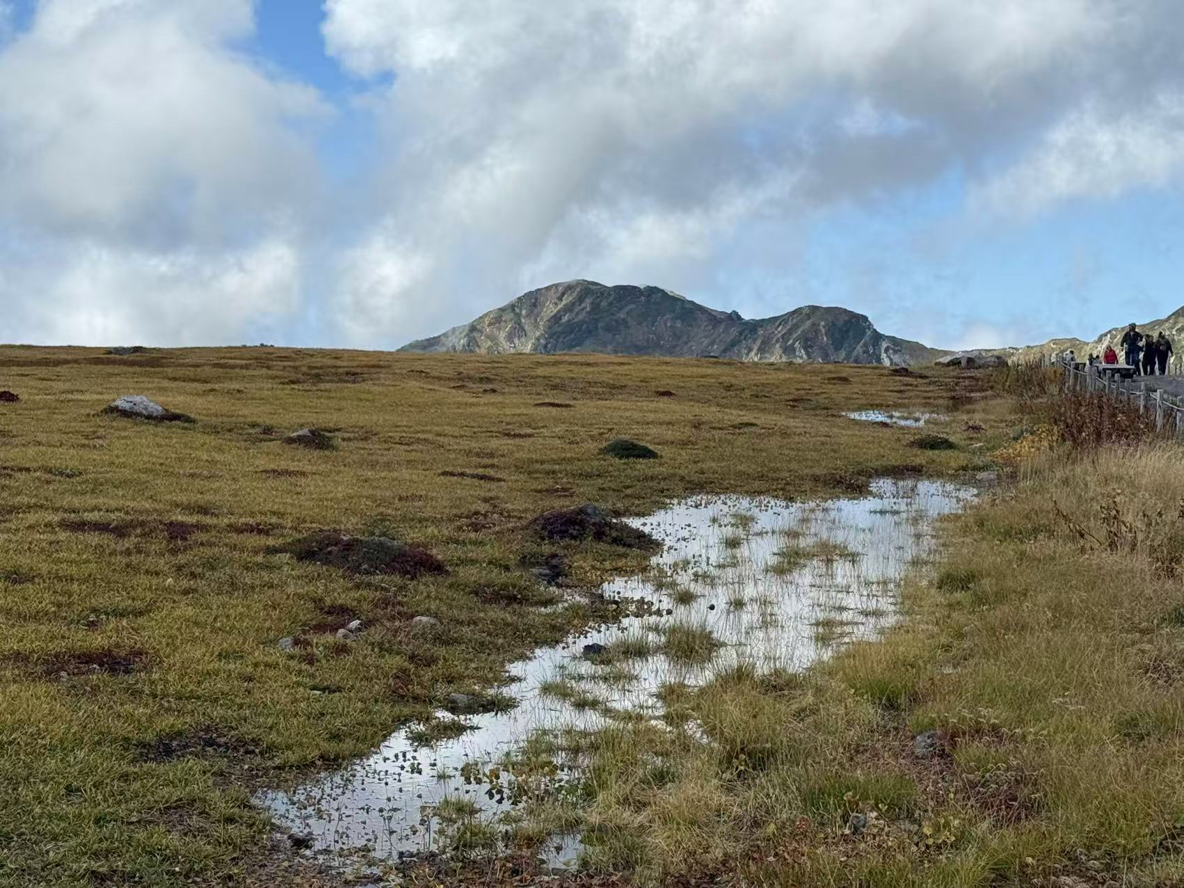 前往室堂地獄谷方向的濕地 前往室堂地獄谷方向的濕地