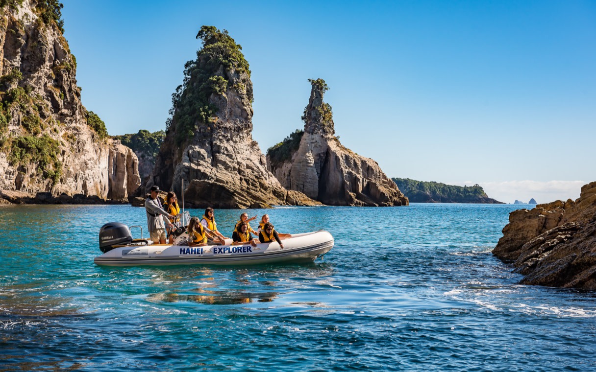 Cathedral Cove Boat Tour in Hahei