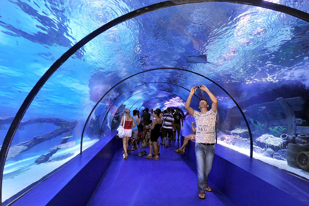 安塔利亞水族館之旅（含門票＆接送）- 阿拉尼亞出發