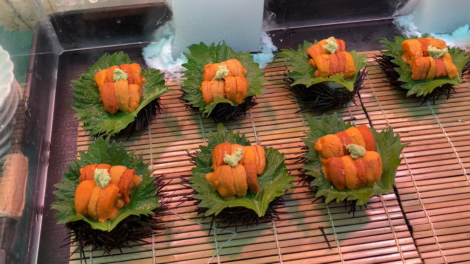 Sea urchin,Uni