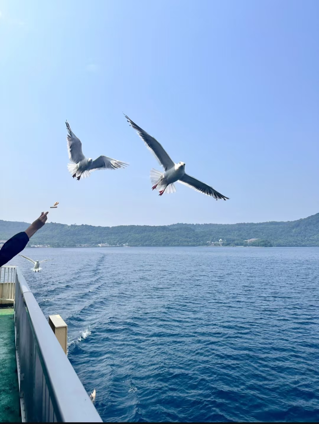 兼具火山地質奇觀、優質溫泉、遊船賞湖、四季風光的北海道必打卡湖泊。