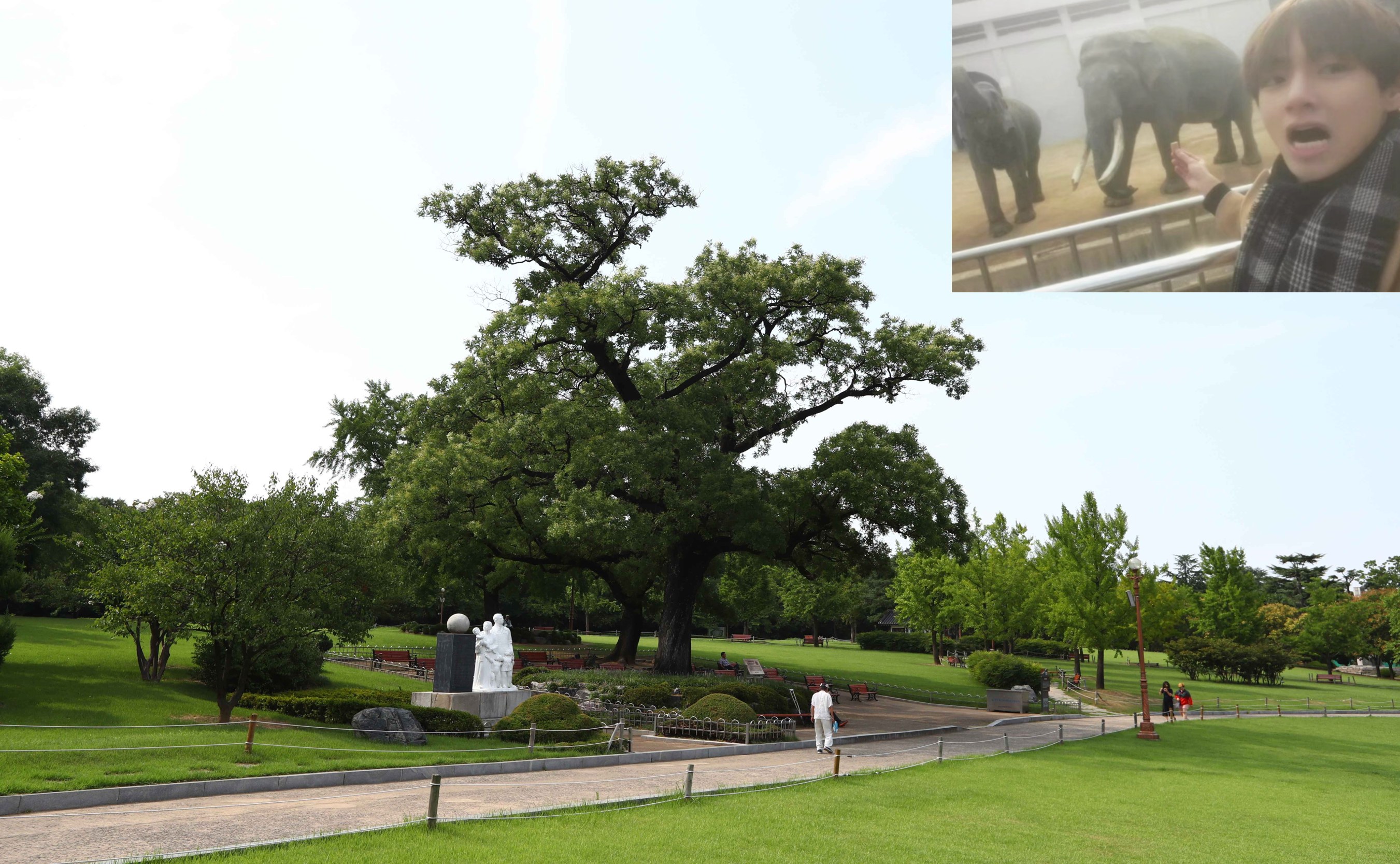 沒錯！大邱的達城公園是BTS的V（金泰亨）小時候玩耍的地方。
後來，他還在那裡拍攝了一個vlog，重現了他童年時的一張照片，這張照片在粉絲中廣為人知。
現在，它作為“V的回憶之地”和熱門拍照區而備受喜愛