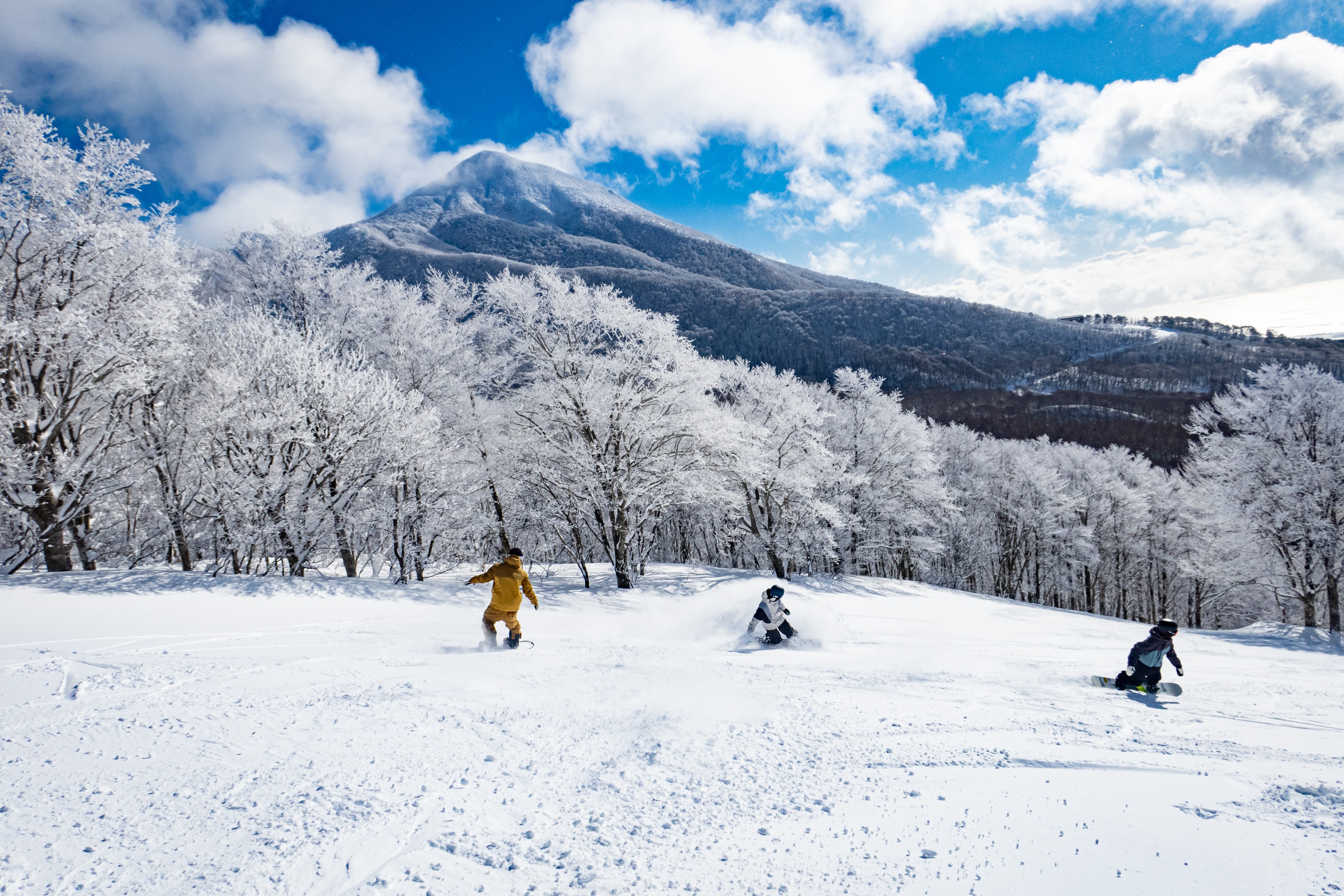 福島星野度假村 NEKOMA Mountain 滑雪場1日票