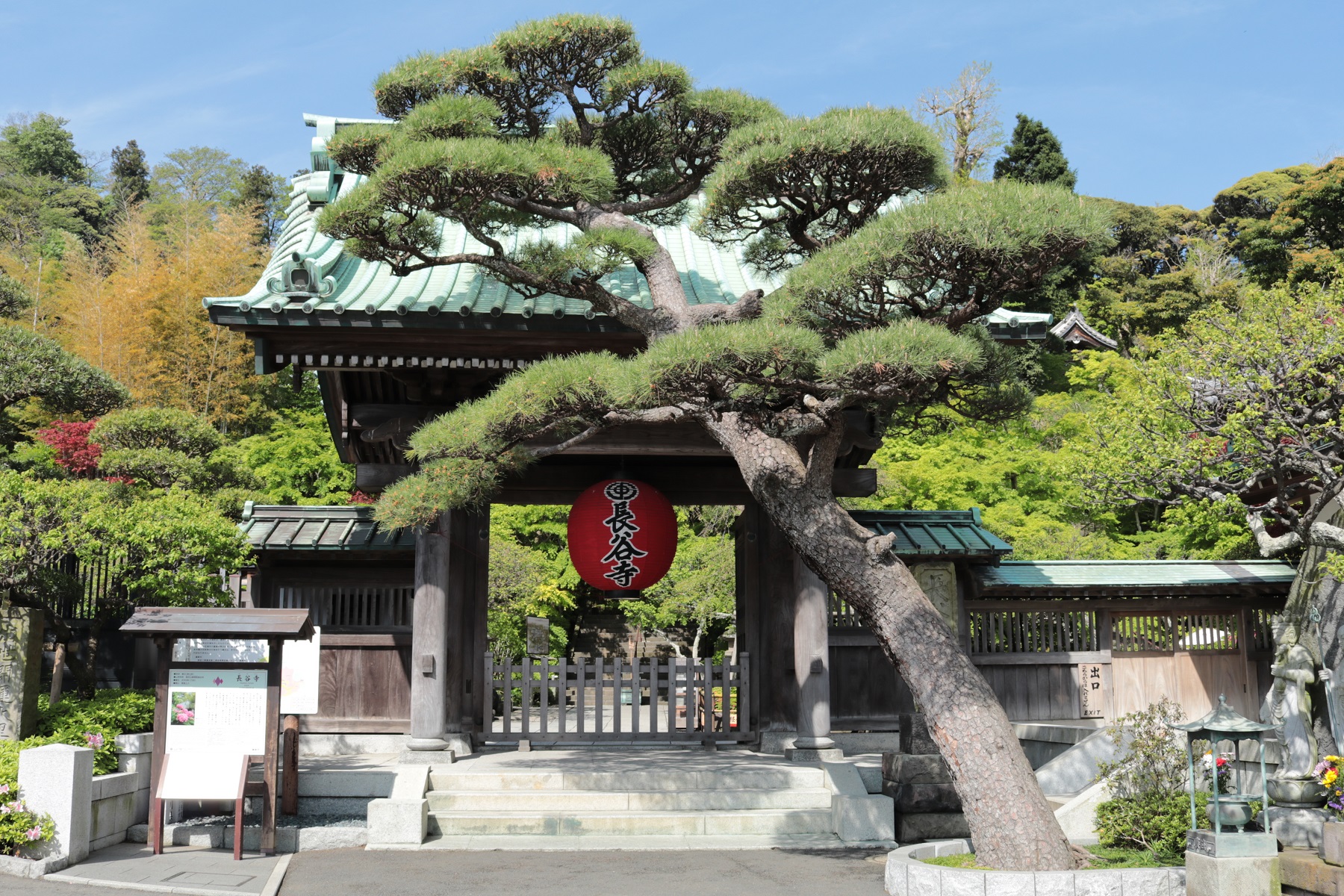 鎌倉: 賞花一日遊明 - 月院＆長谷寺＆江之島＆鶴岡八幡宮 (東京出發)