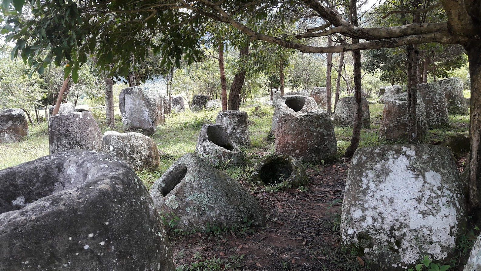 Plain of jars tour with local guide