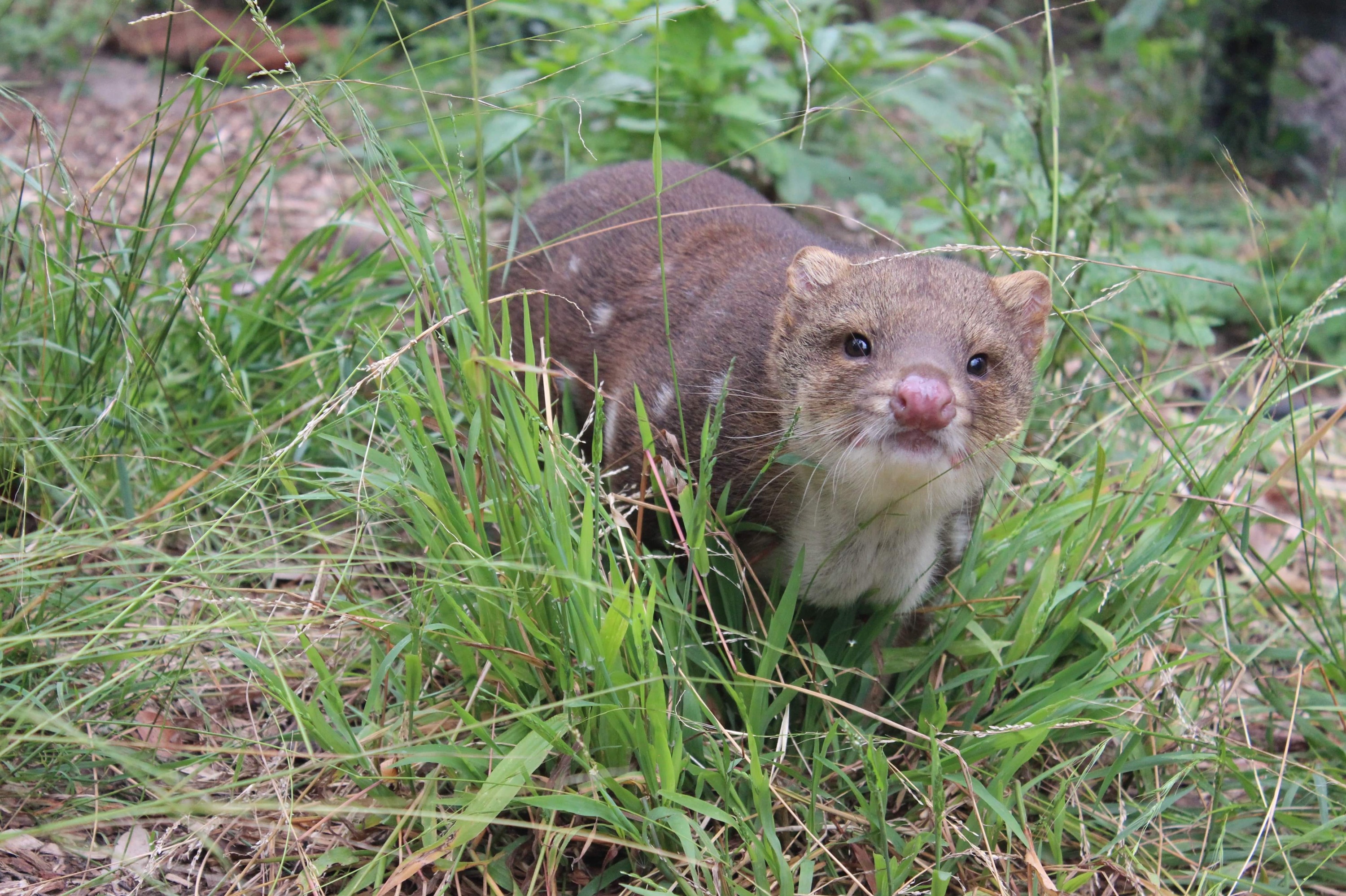 波托魯宮動物保護區門票