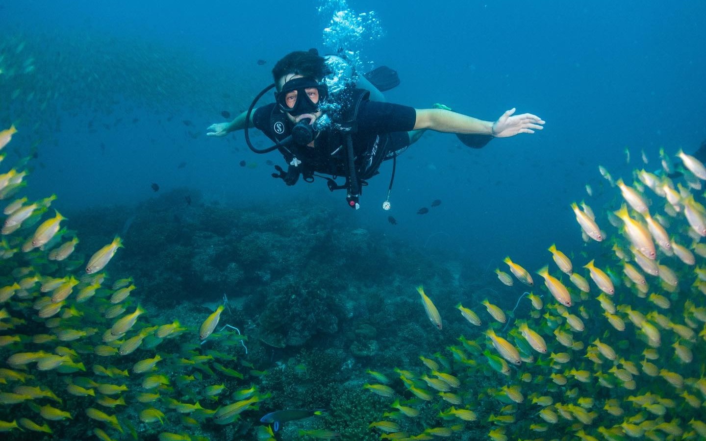 Try Scuba Diving at Koh Phi Phi for Beginners