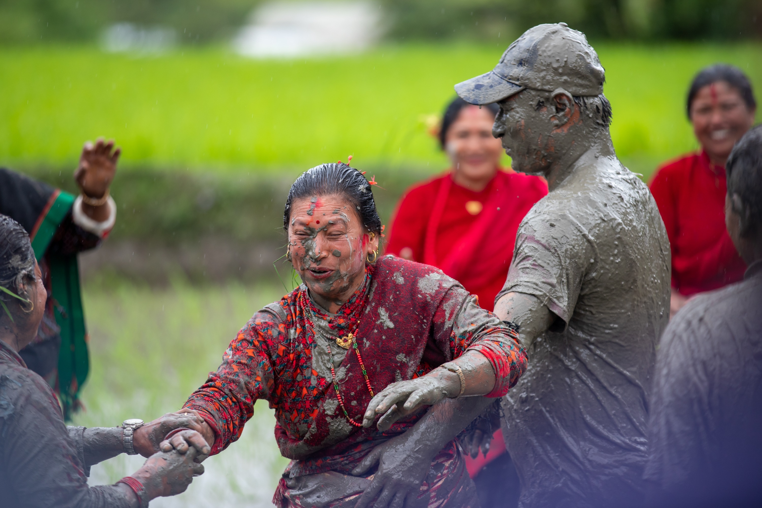 Rice Planting in Nepal