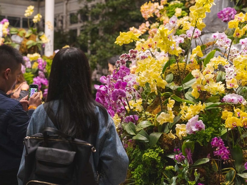 紐約植物園門票
