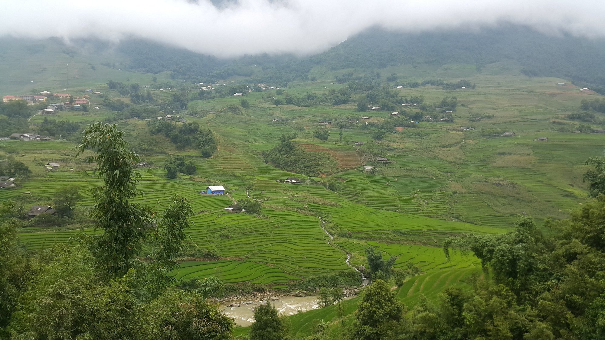 沙巴：紅瑤族草藥足浴和採葉之旅