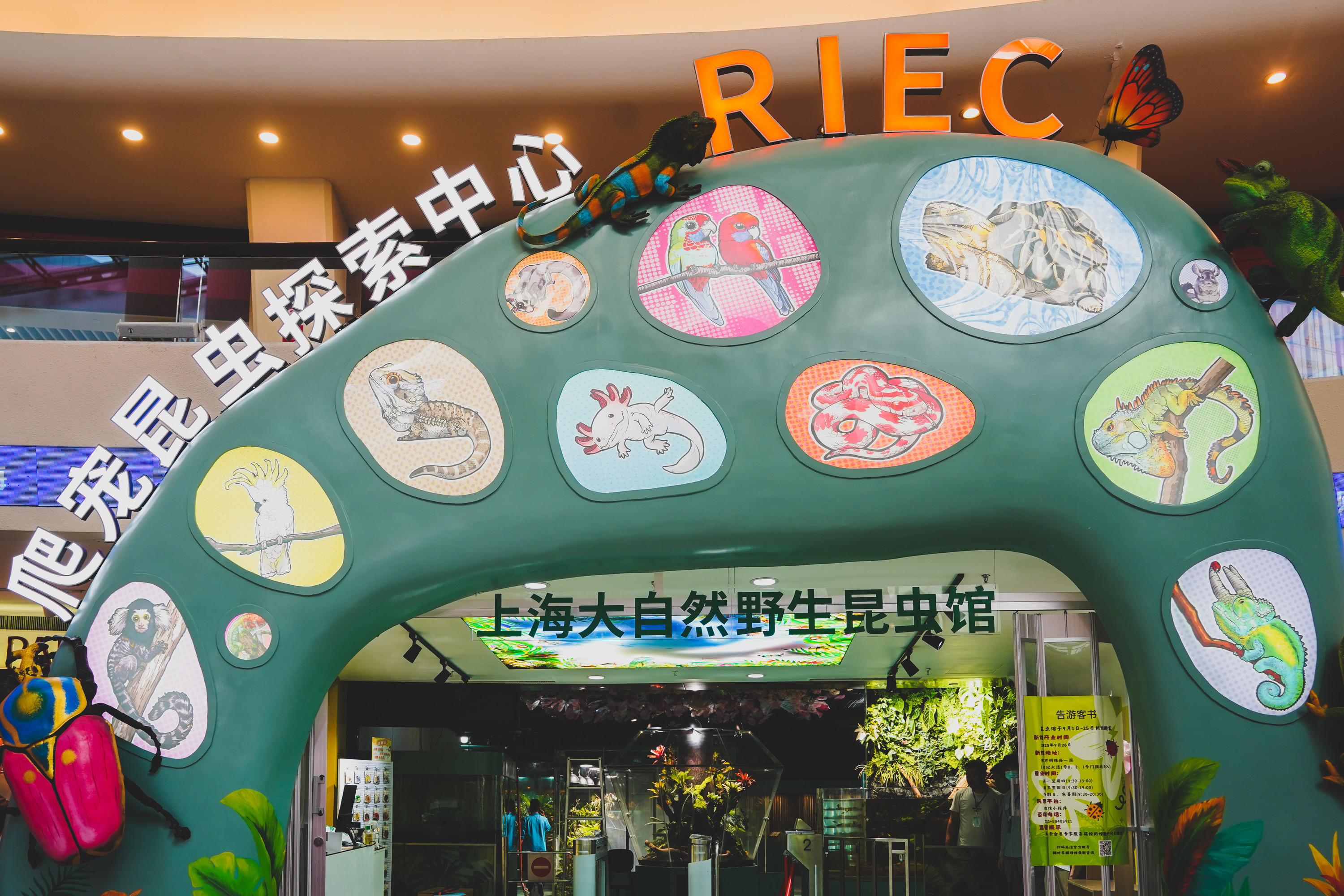 Shanghai Natural Wild Insect Museum