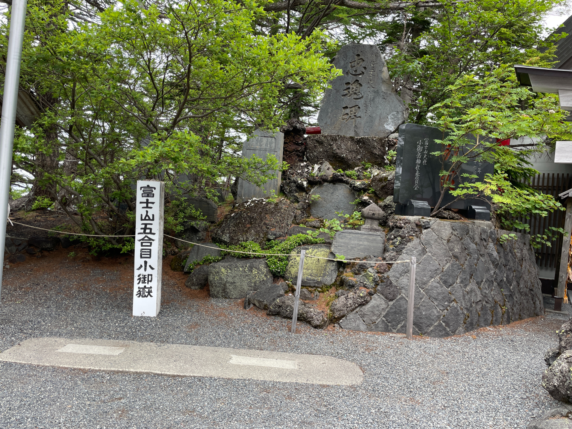 富士山 (Mt. Fuji) & 箱根 (Hakone)  東京 (Tokyo) 出發一日遊
