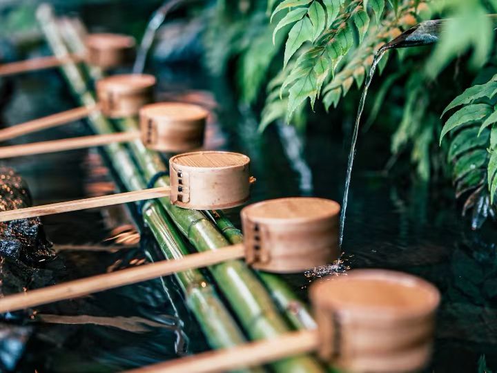 Water fortune-telling: After the blank fortune-telling is immersed in the sacred water, the fortune-telling will be revealed. For 200 yen, you will get a refreshing feeling from the metaphysics. (You pay for it yourself)