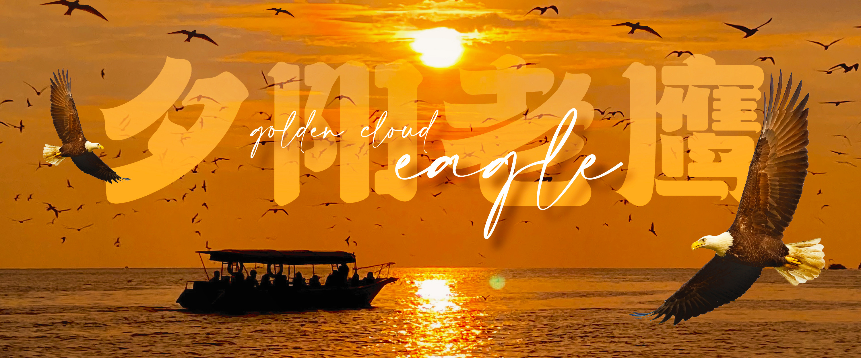 Kuala Selangor Eagle Feeding, Fireflies and Blue Tears Tour