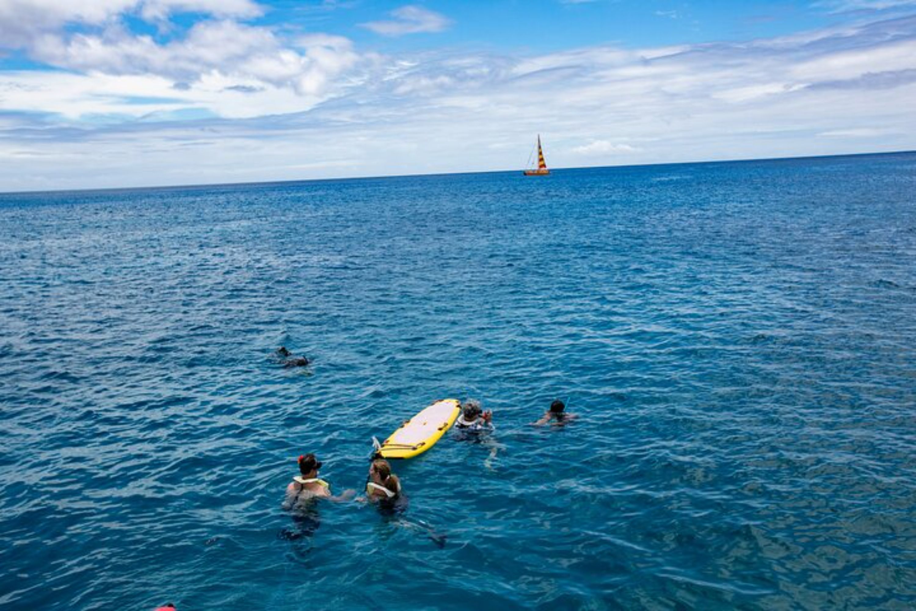 Excited snorkelers explore Turtle Canyon’s reef, discovering colorful fish and vibrant coral