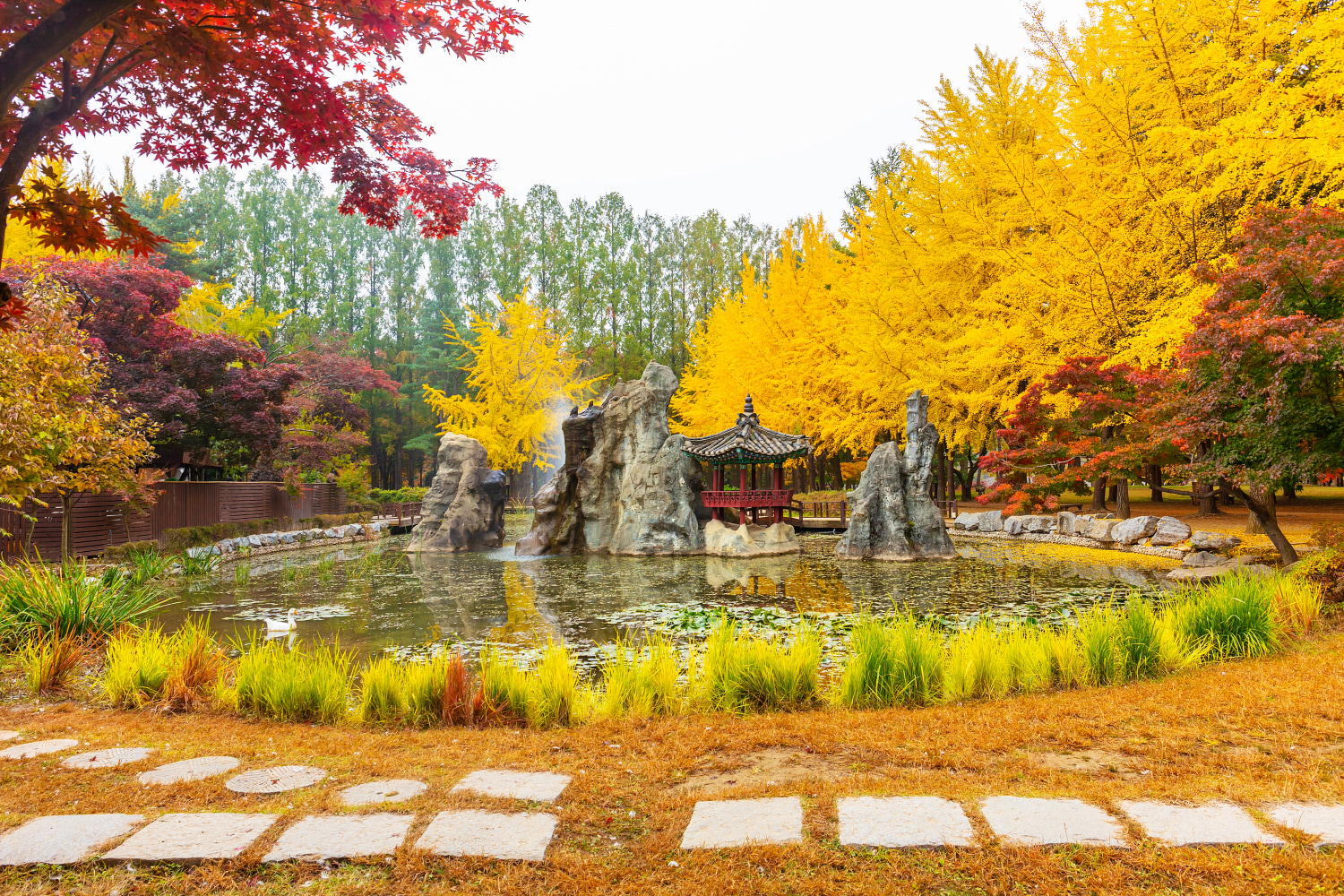 南怡島 (Nami Island)（快艇）/羊駝/鐵路自行車/晨靜樹木園 (Morning Calm) 私人旅遊