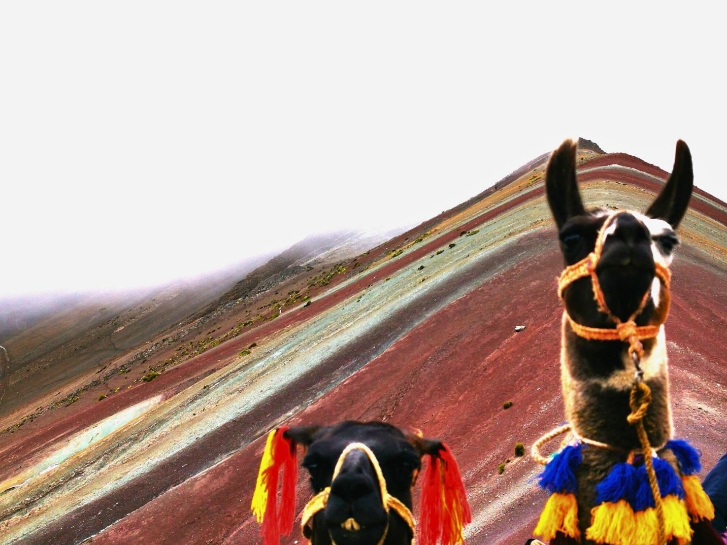 The summit of Rainbow Mountain reveals vibrant natural colors, creating breathtaking panoramic Andean scenery