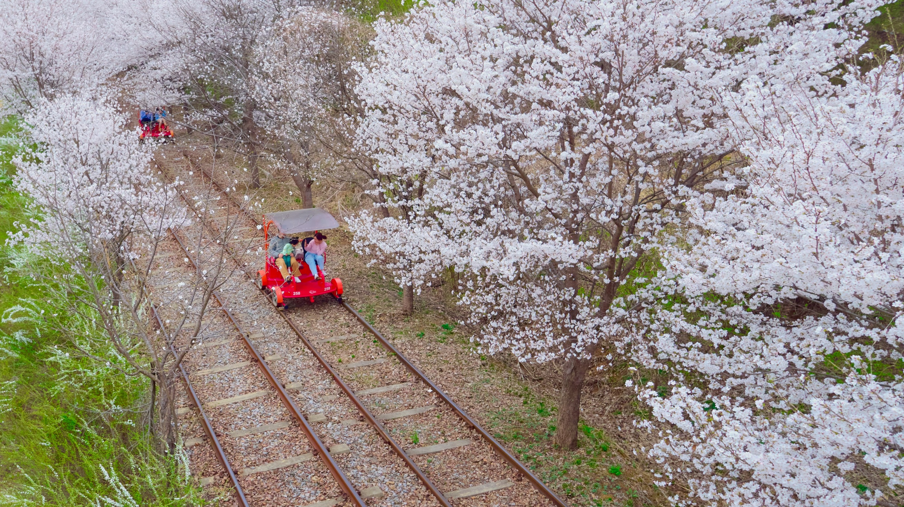 加平鐵道自行車體驗 [電子門票]