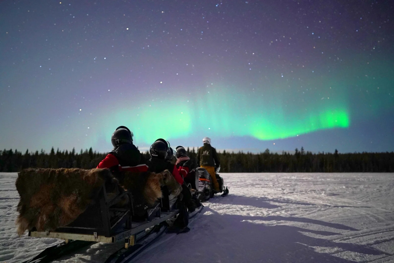 Northern Lights with Sleigh Ride Experience in Lapland