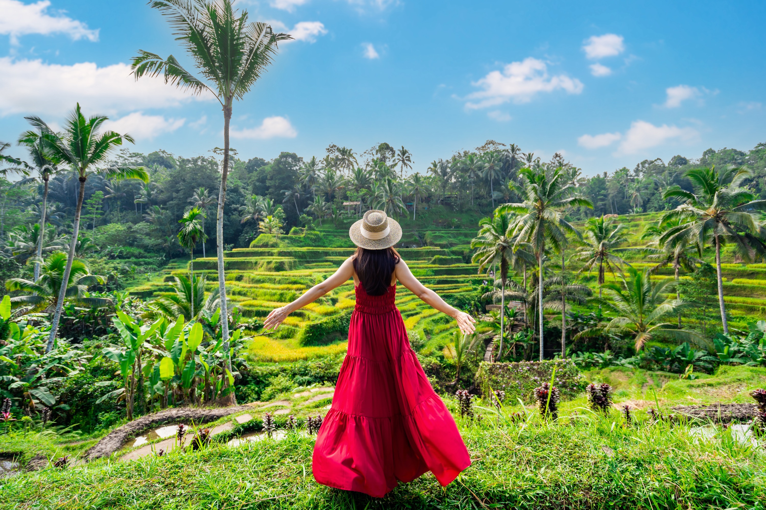 Private Tour Klasik di Ubud