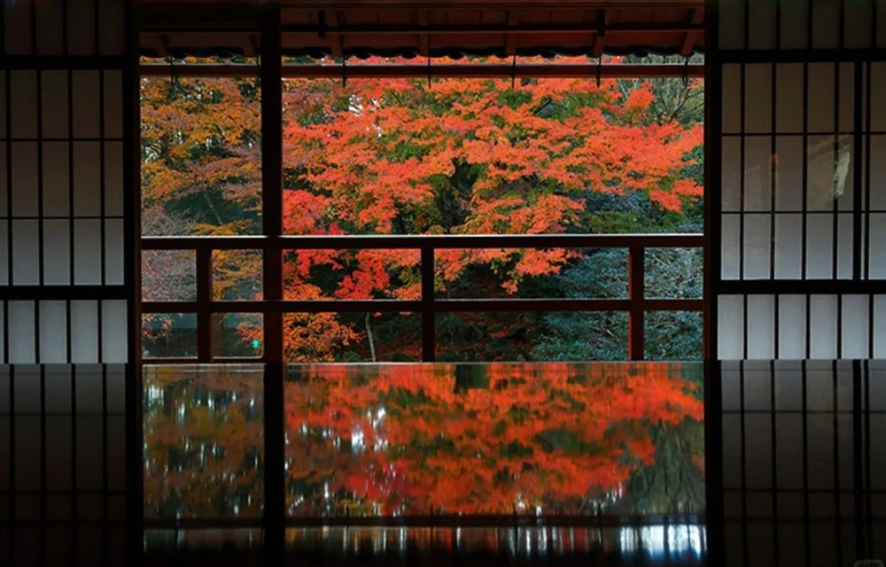 紅葉季｜比叡山延歷寺&教林坊&八幡遊船賞楓一日遊｜（大阪/京都出發）