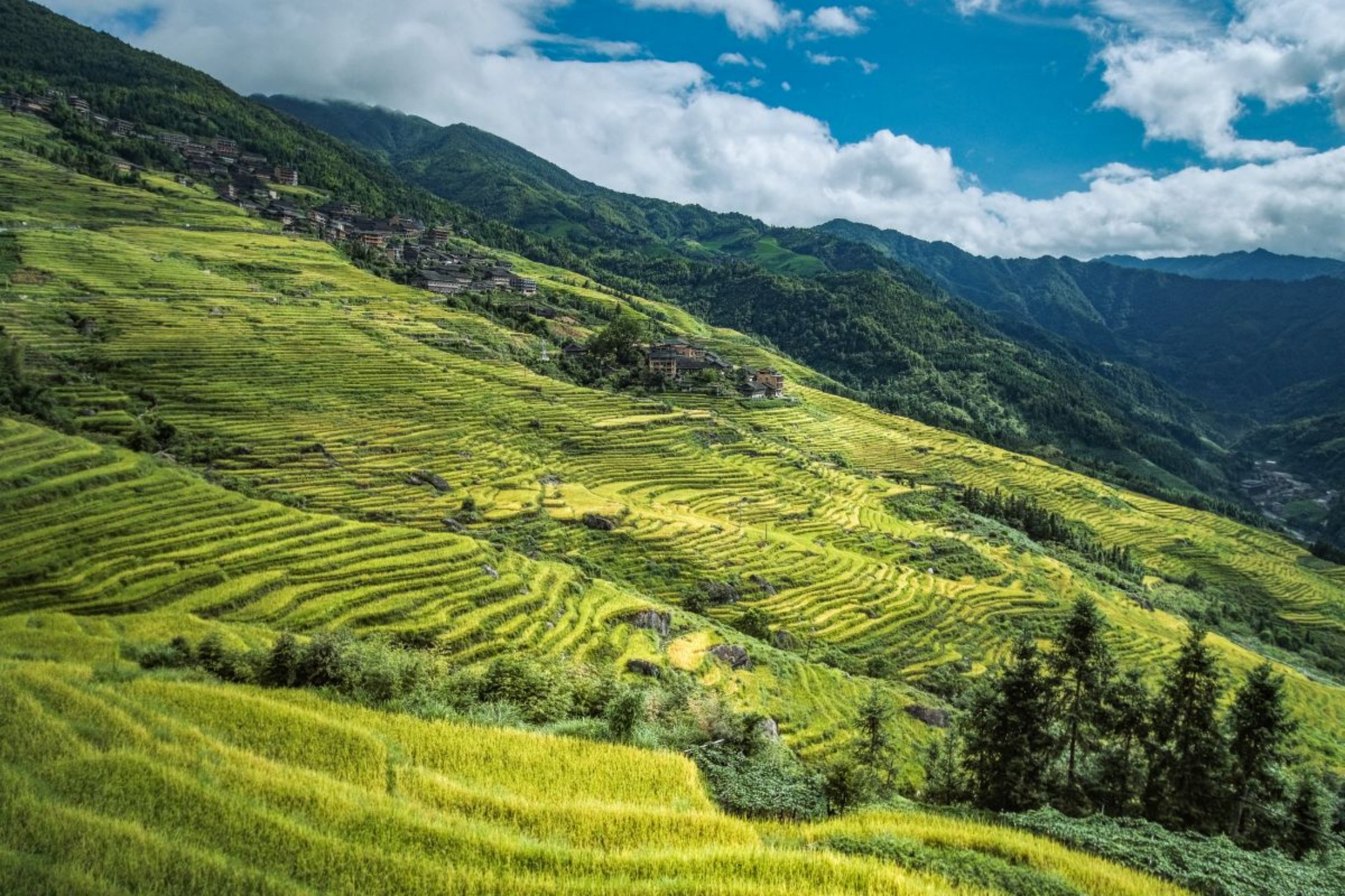 Guilin Longji Scenic Area + Huangluo Yao Village One-Day Tour (Jinkeng Dazhai Hongyao Terraces/Ping'an Village Terraces)