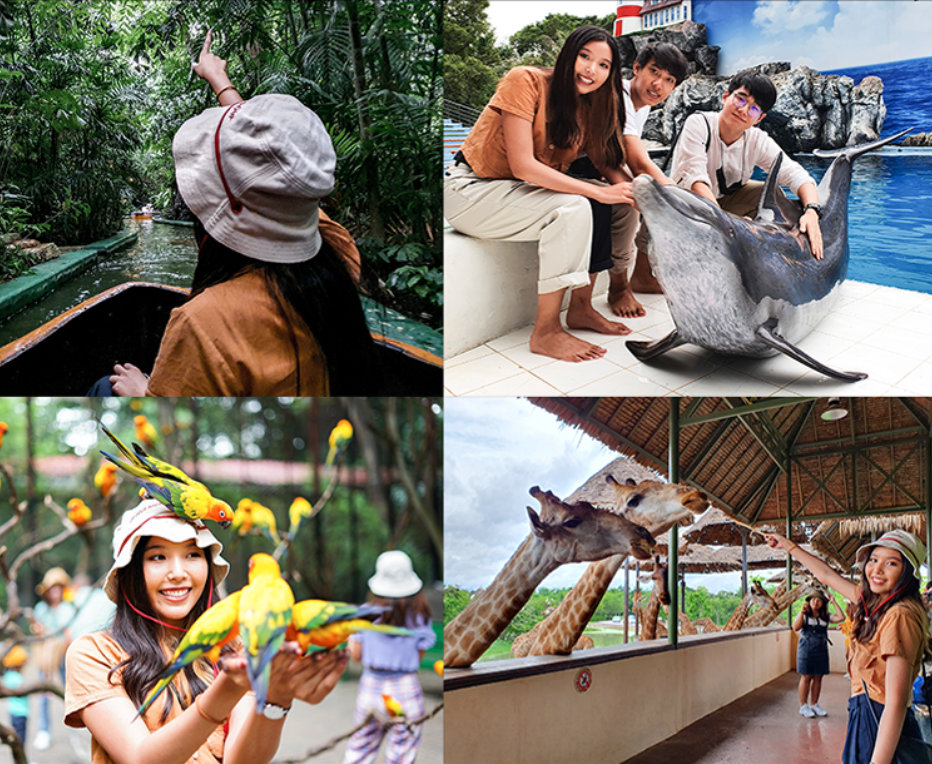 一天畅玩两园——在曼谷赛瑞福野生动物园 (Safari World Bangkok) 一次性探索开放式动物园野生动物园 (Safari Park) 和海洋公园 (Marine Park)。