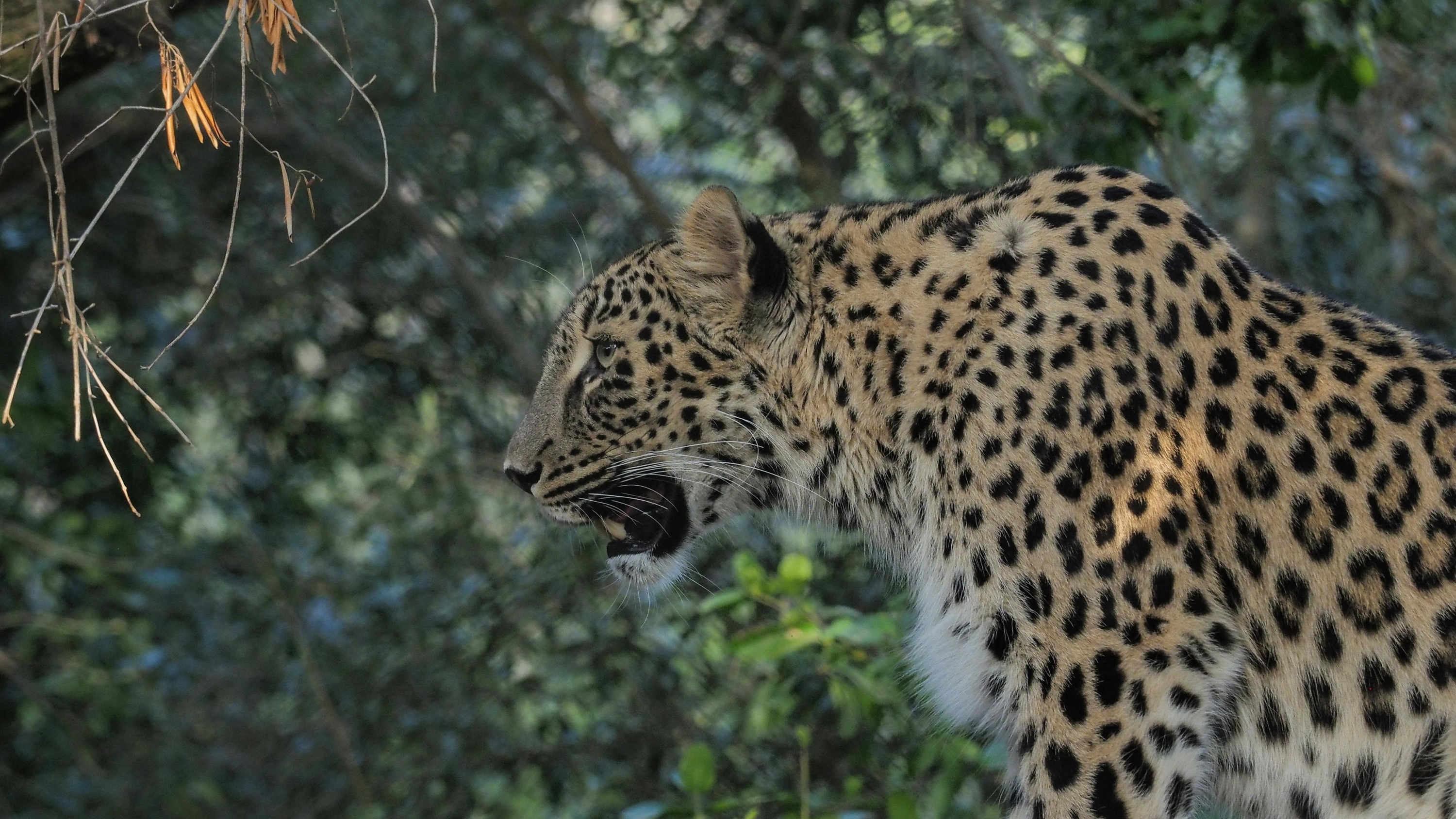 里斯本動物園 (Lisbon Zoo) 門票