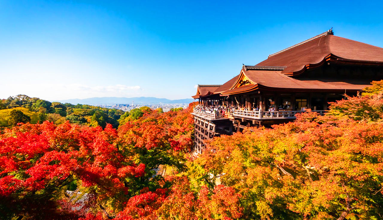 京都+奈良+清水寺區域-和服體驗+八坂神社+伏見稻荷大社+奈良公園-看鹿和楓葉的奈良公園+東大寺