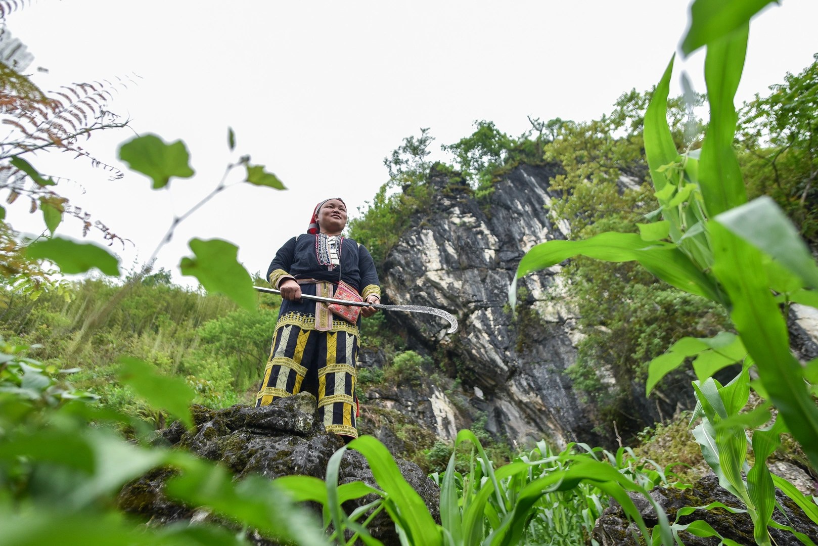 沙巴：紅瑤族草藥足浴和採葉之旅