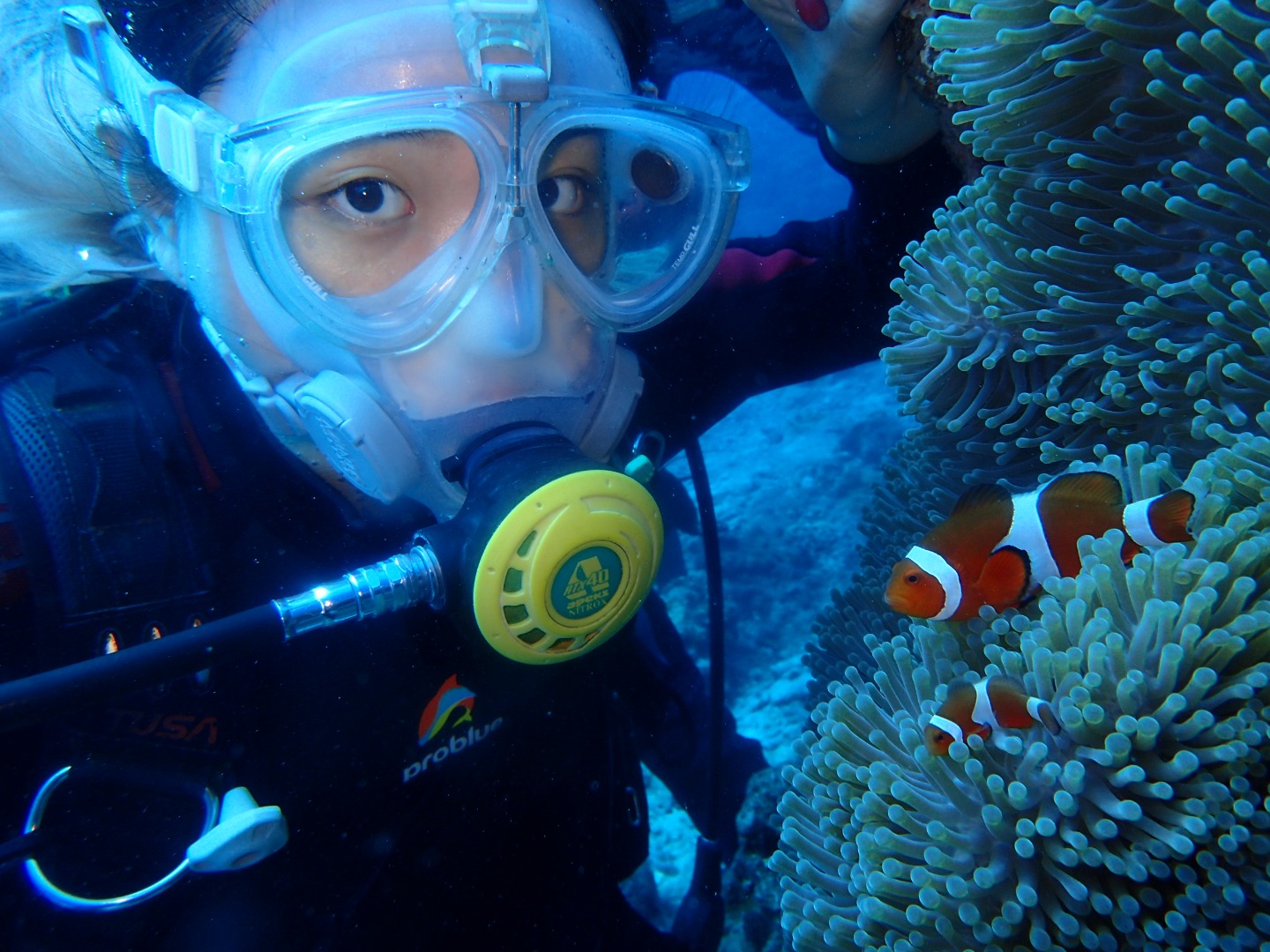 綠島潛水｜綠島藍莎潛水中心｜一對一深潛體驗・含潛點往返接送