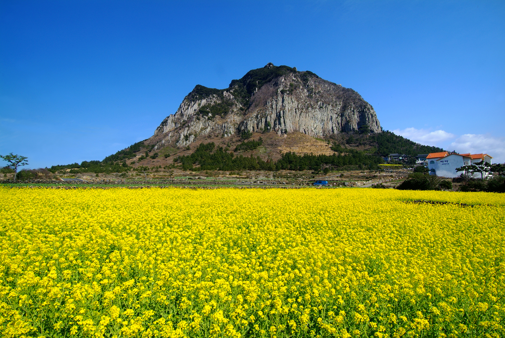 普門寺 & 山房山