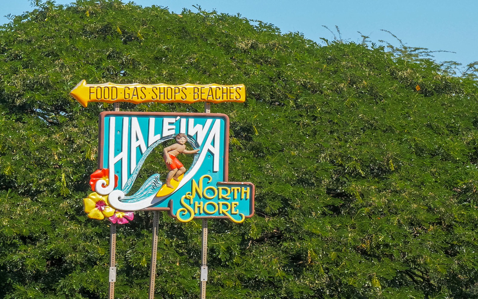 Haleiwa Town & Ko Hana Rum Tasing Tour