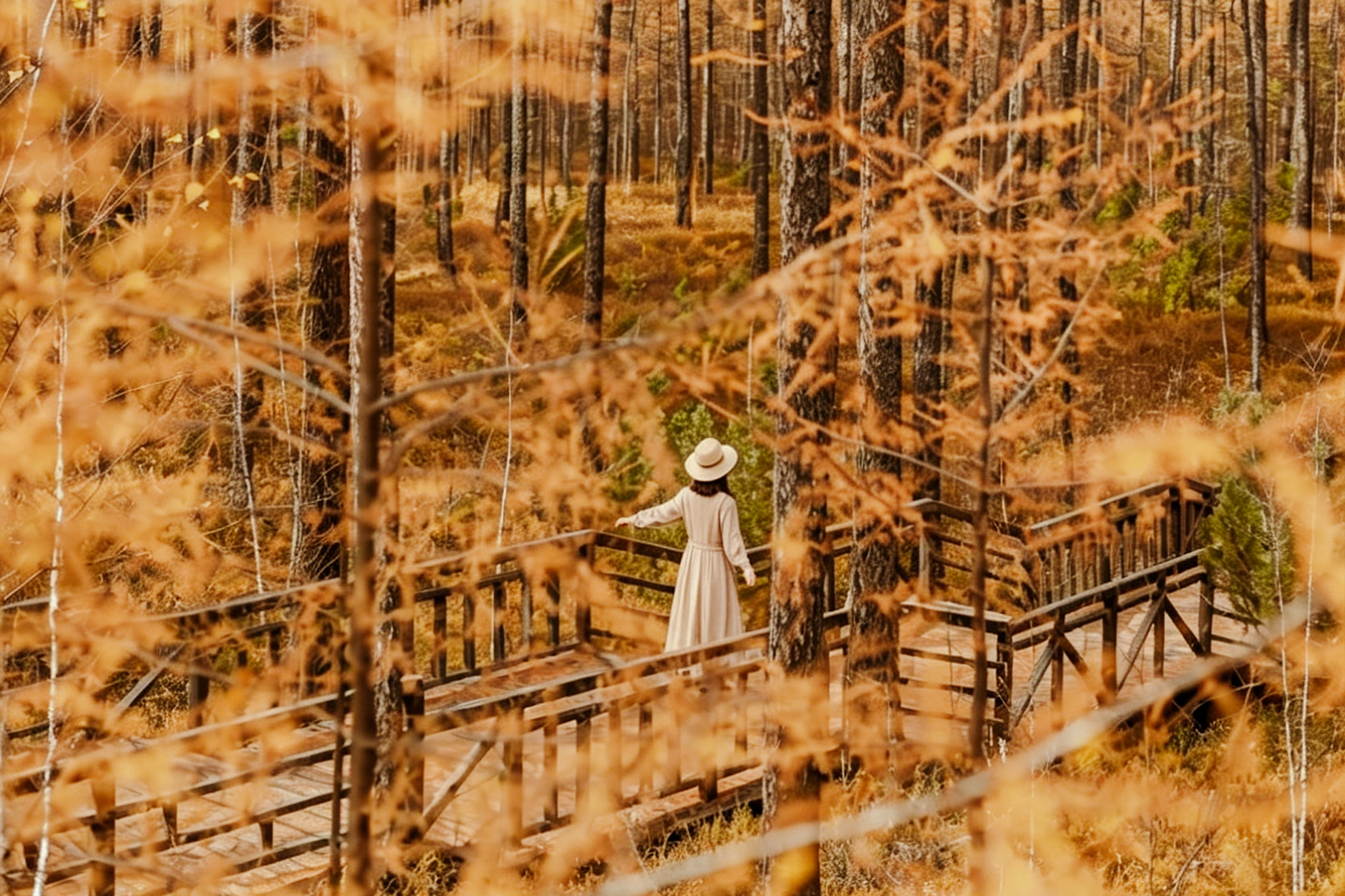 Autumn Wilderness : 7-Day Hulunbuir & Aershan SUV Tour for 4