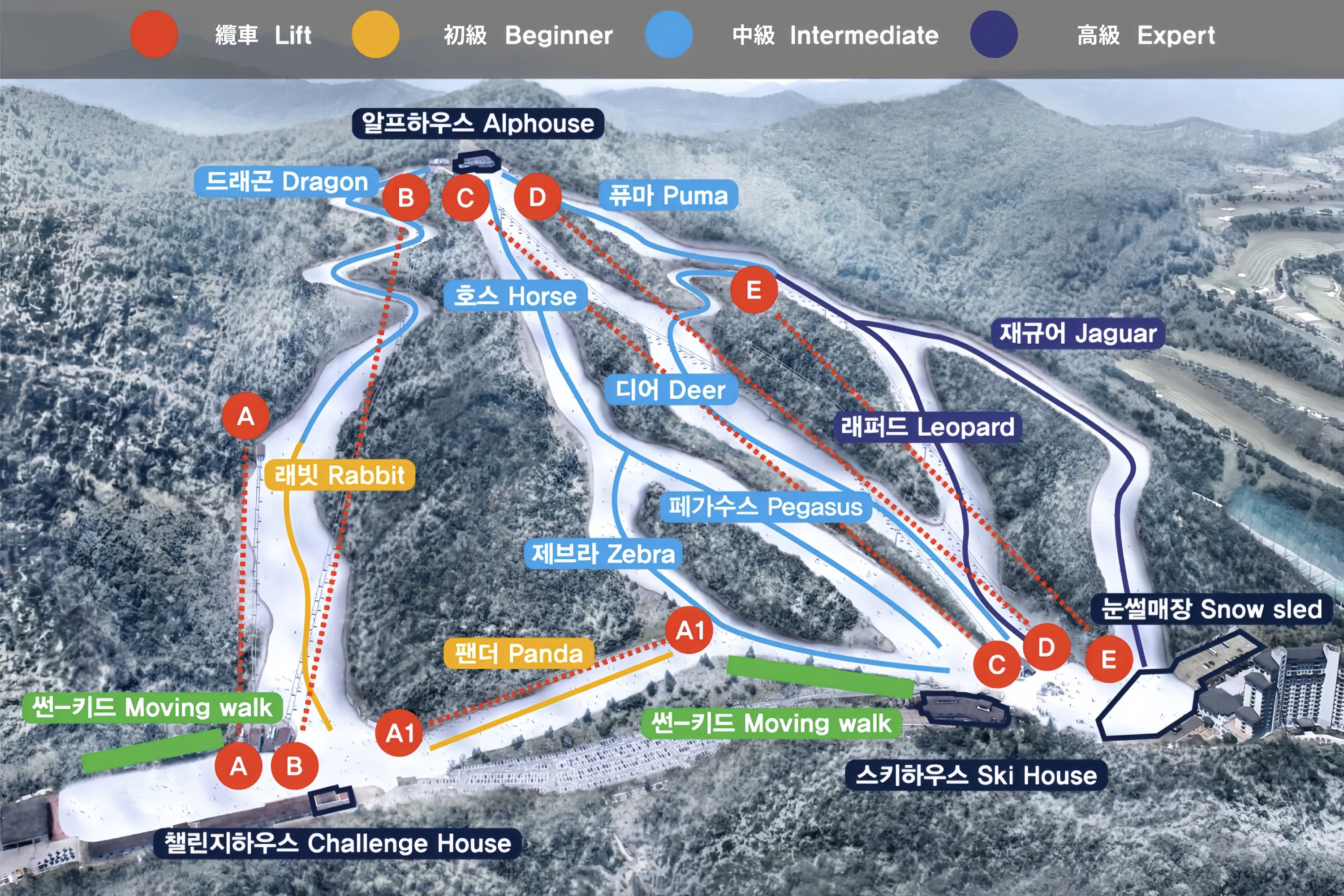 首爾出發伊利希安滑雪場 x 單板滑雪 x 雪橇場二日遊