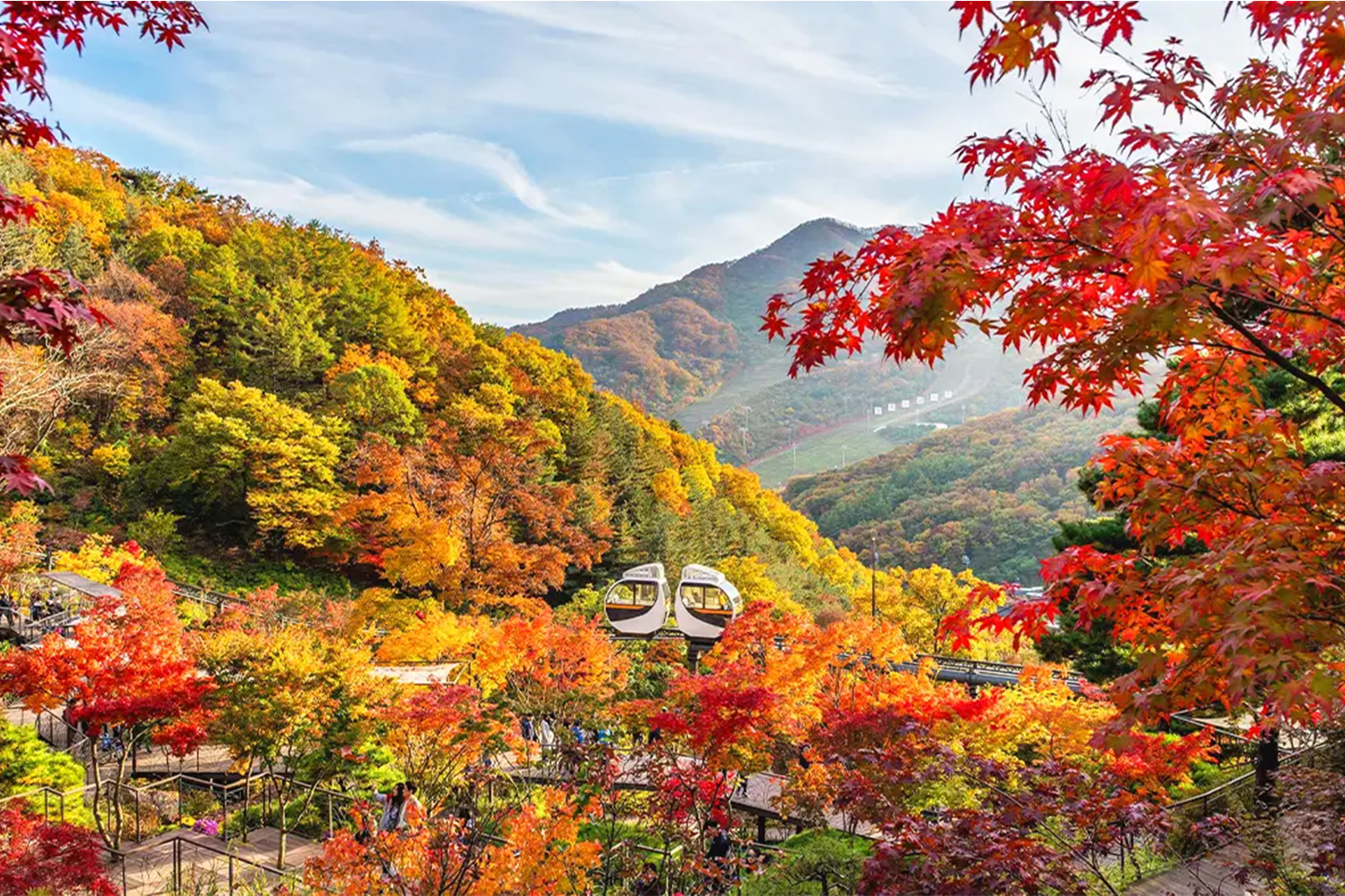 漫步在和談林（Hwadam Forest）風景優美的小徑上，周圍環繞著鬱鬱蔥蔥的綠植、潺潺的溪流和季節性花卉。
