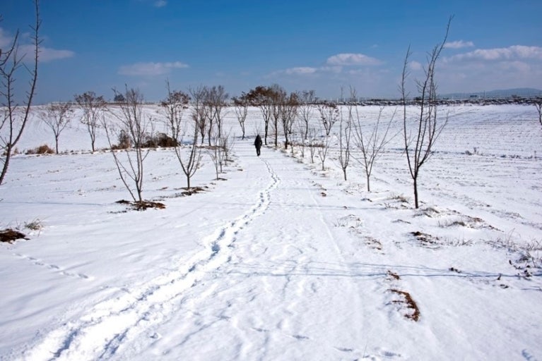 想暫時逃離喧囂的城市生活嗎？那就來安城牧場，享受如童話般的夢幻體驗吧！