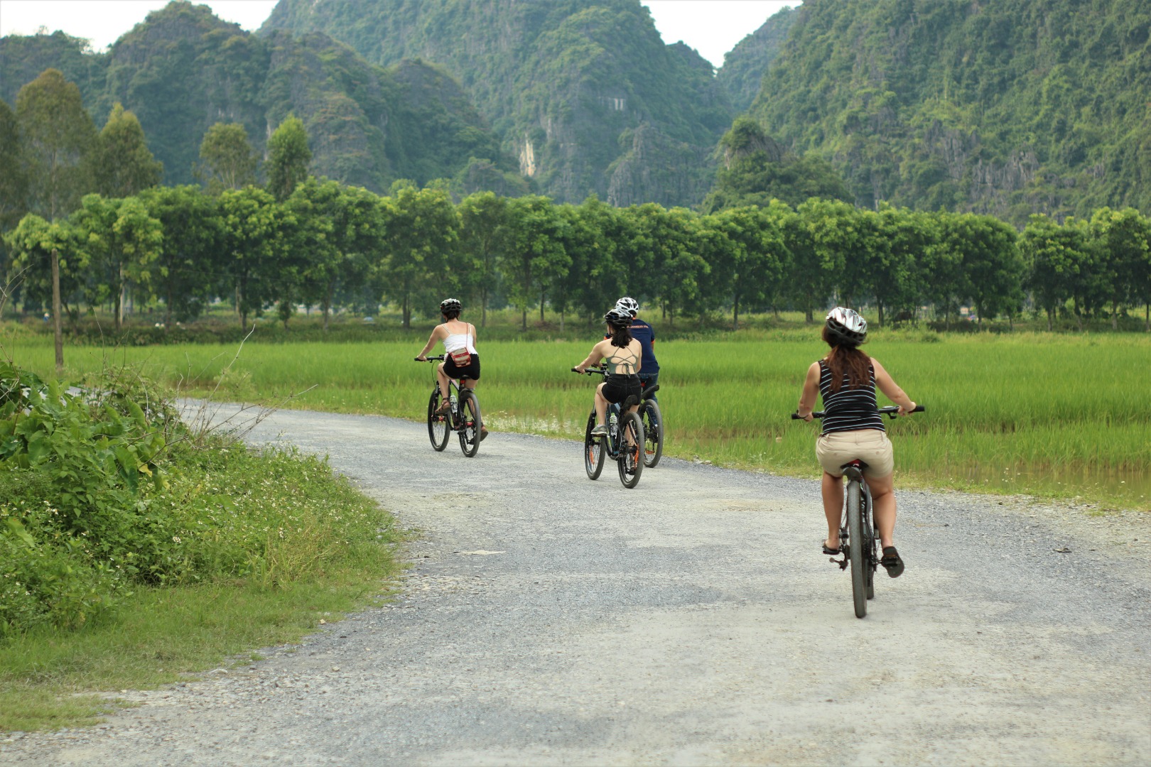 Trang An and Bich Dong Pagoda Deluxe Day Tour from Hanoi