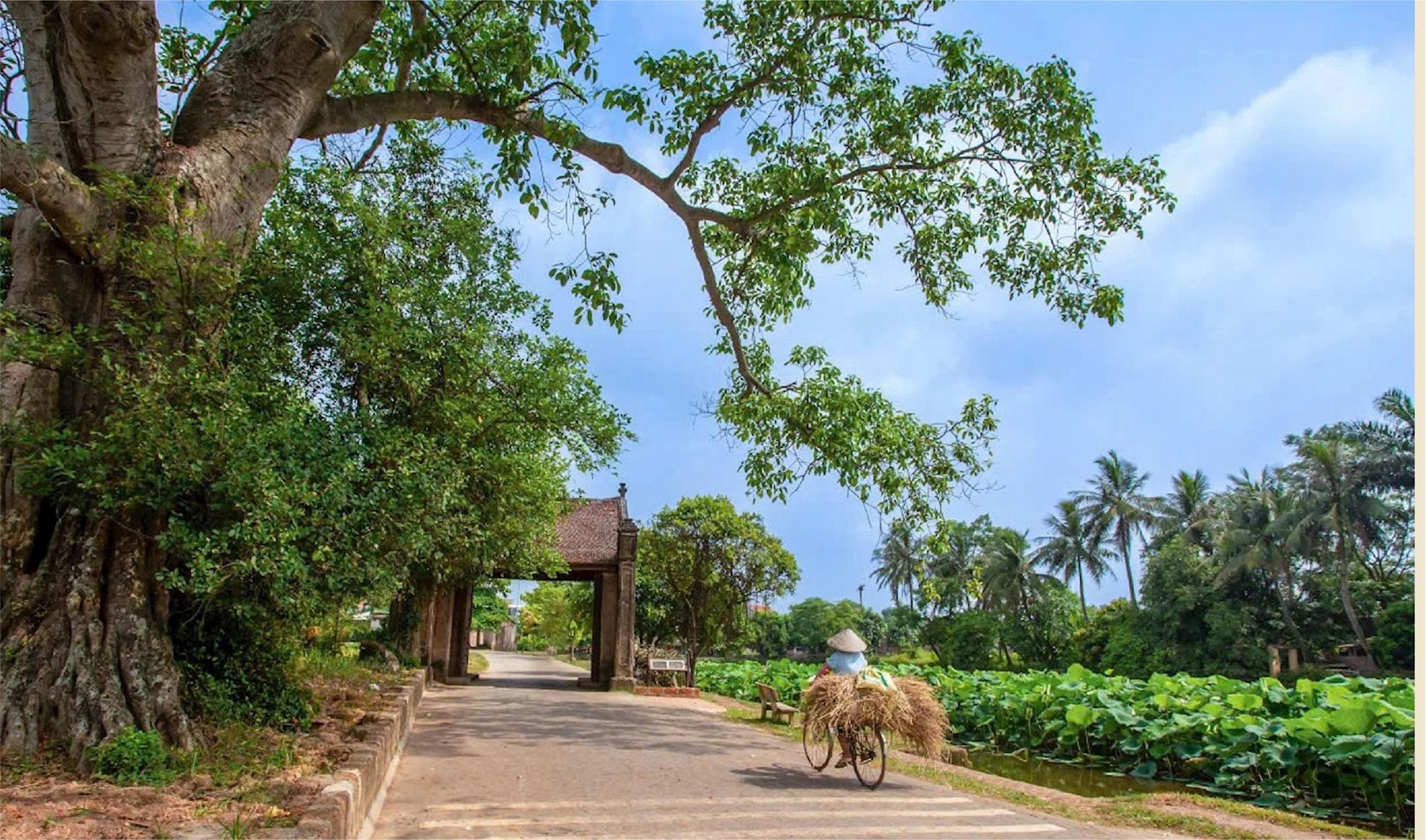 這個村莊有近1,000座建於370多年前的老房子。它們全部採用傳統材料建造：紅土、竹子、橡木、赤陶磚、瓷磚等。