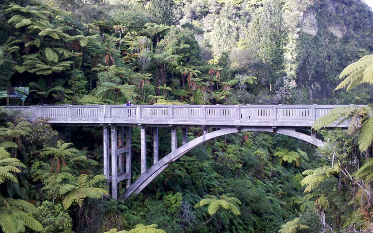 Whanganui Bridge to Nowhere Full-Day Tour from Pipiriki