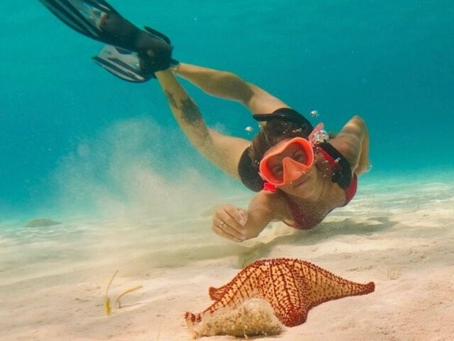 Discover the incredible Colombia Reef, home to vibrant marine life and crystal-clear Caribbean waters