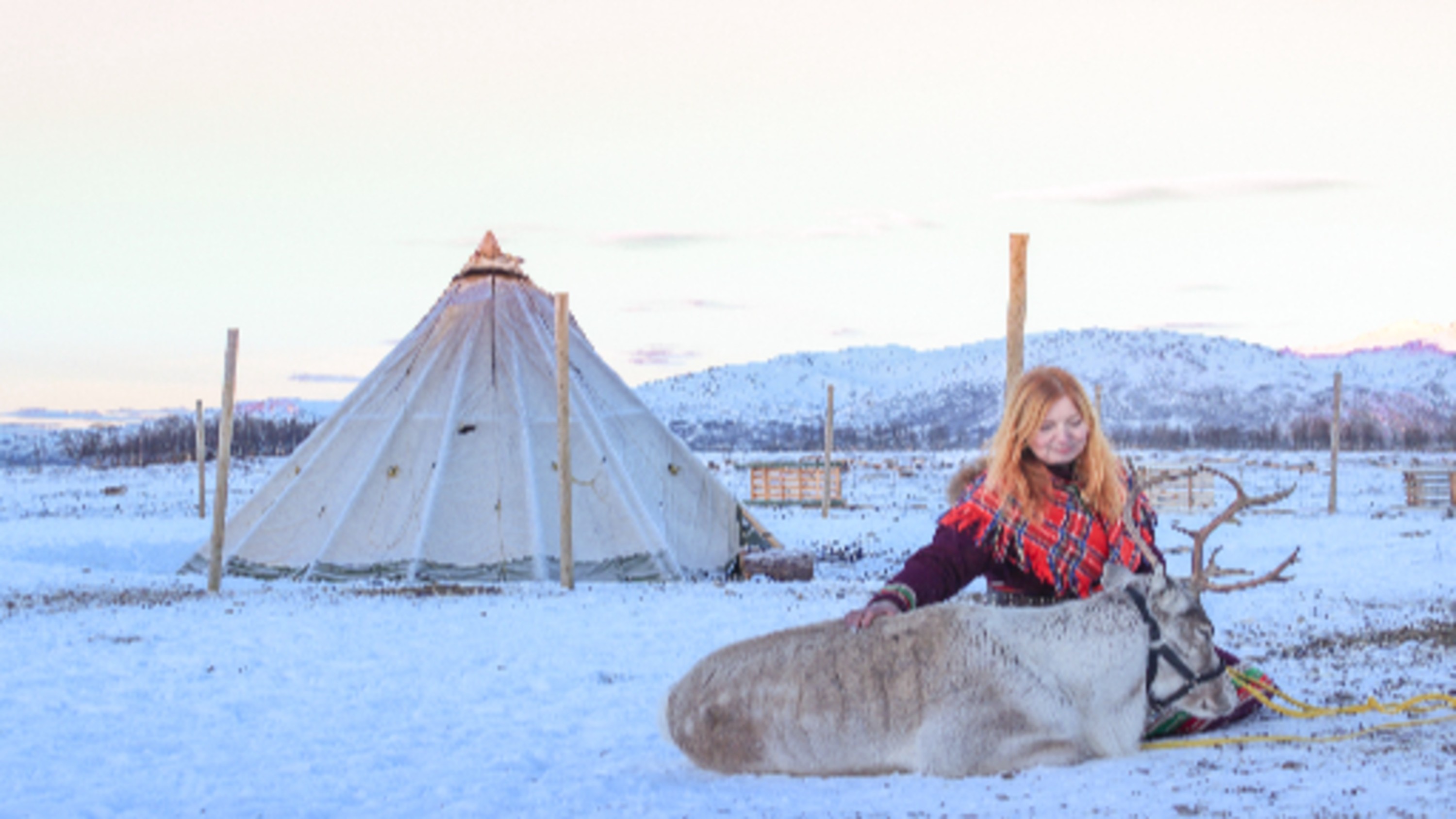Reindeer Ranch and Sami Cultural in Tromso