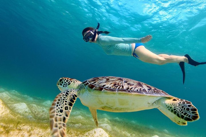 snorkeling with turtle