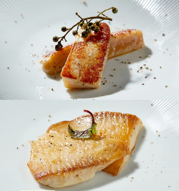 Reference pictures of dishes
