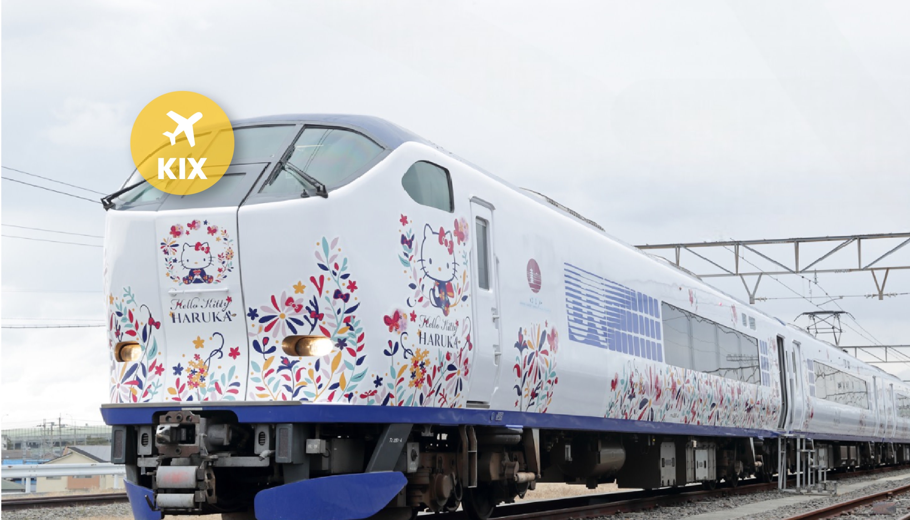 JR Haruka Kansai Airport Express Ticket