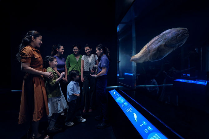 Ocean in Focus: Into the Abyss