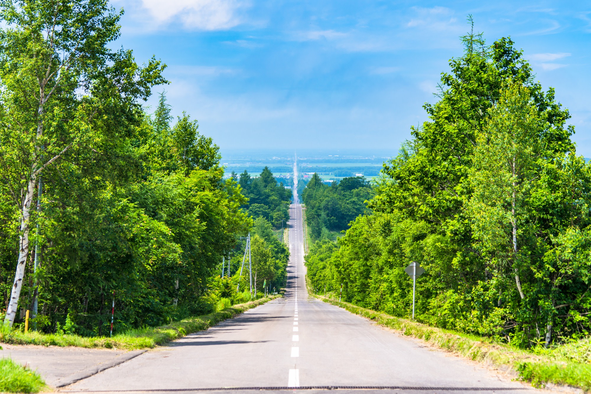 起伏連綿的直線公路，如同過山車般刺激。